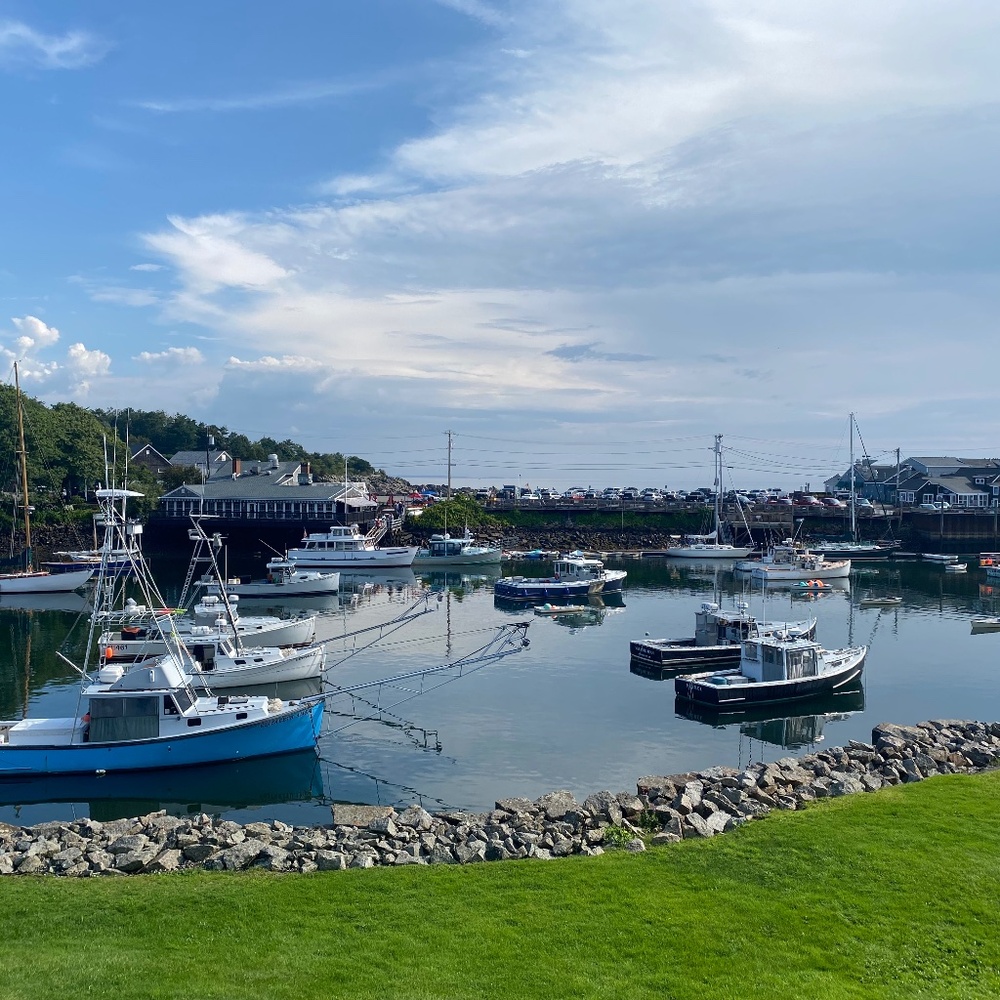 Meet your Posher, Deb